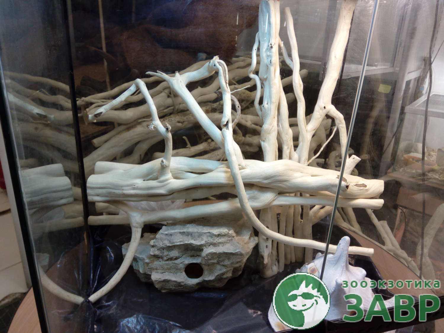 Коряга ПЛЮЩ БЕЛЫЙ — изображение 3